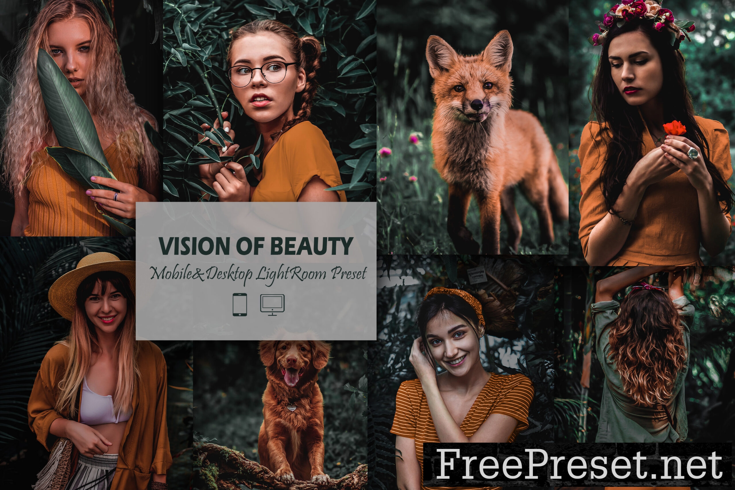 12 Mobile Lightroom, Vision of Beauty