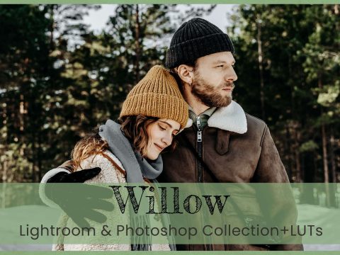 8 Willow Photoshop Actions Winter Warm 10984120