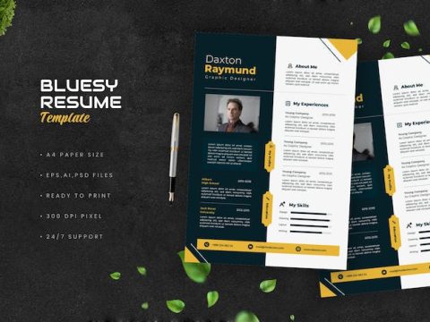 Bluesy Resume DX9PUFK