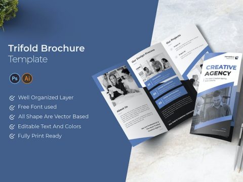 Creative Agency Trifold Brochure