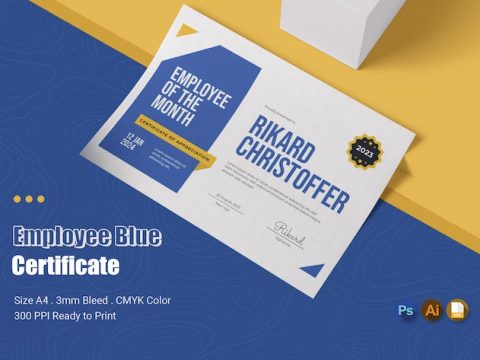 Employee Blues Certificate FPDNS2V