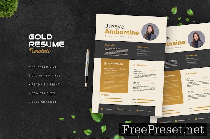 Gold Business Resume KSLX79G