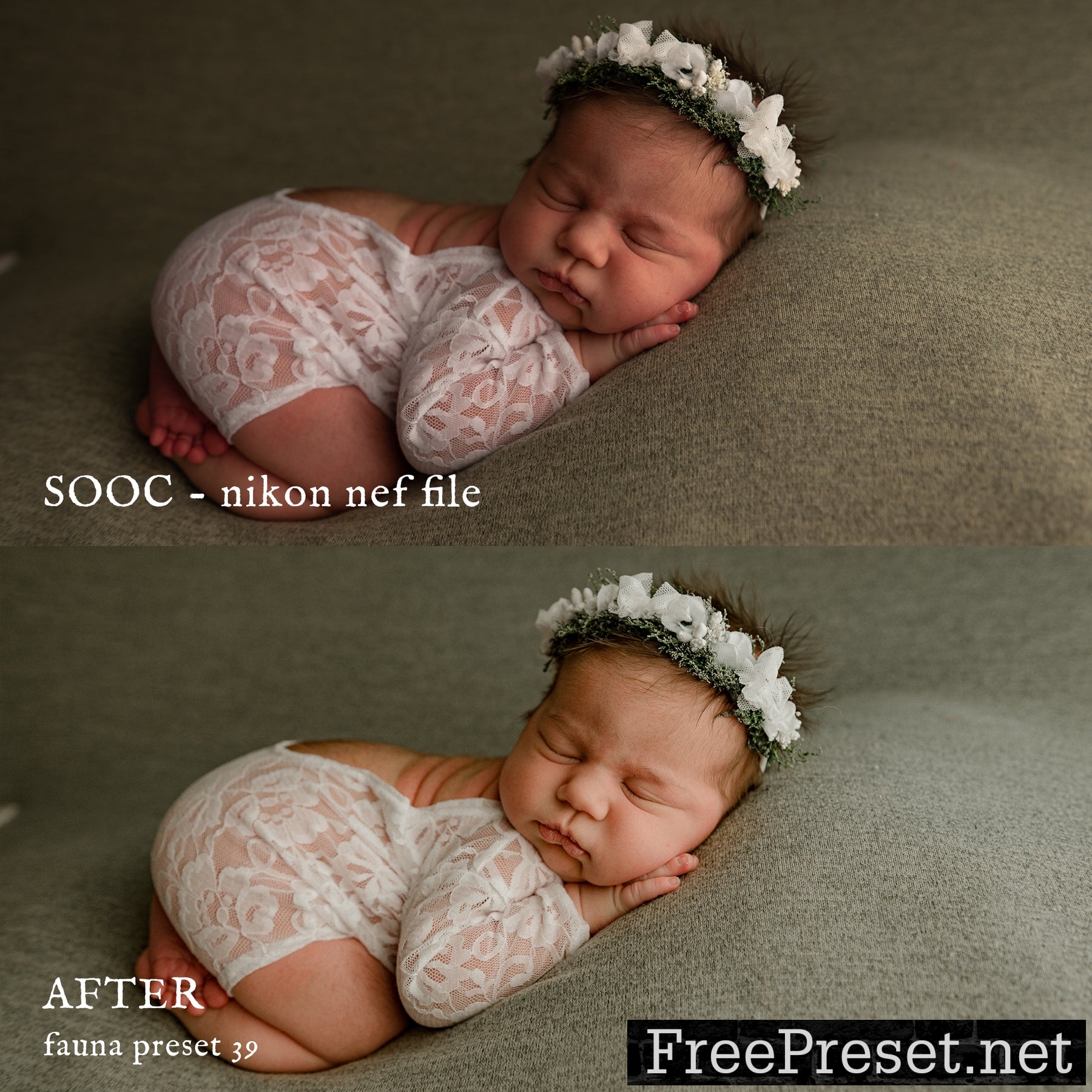 Jessica G Fauna Lightroom Presets