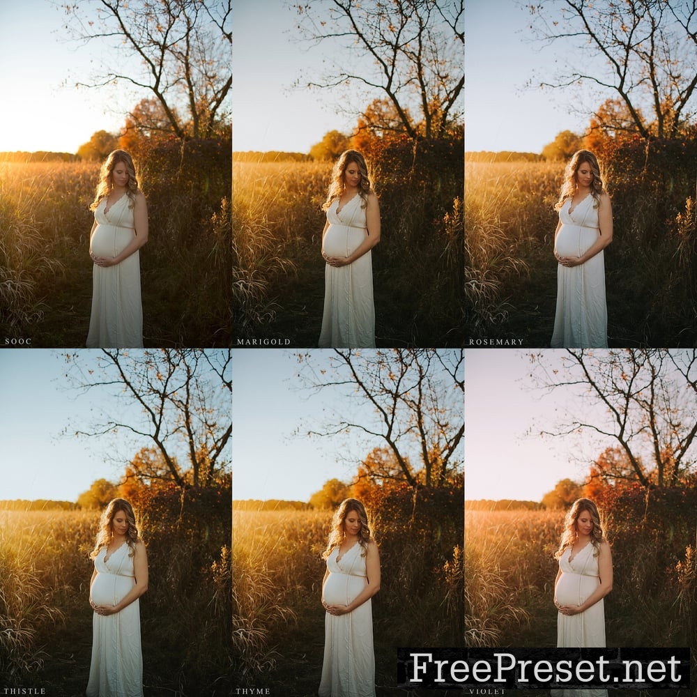 LIGHTROOM Presets - Paisley Ann Photography - JUNIPER FILM COLLECTION