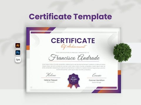 Modern Concept Certificate QFCE67R