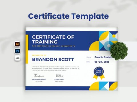 Modern Training Certificate 46S53K8