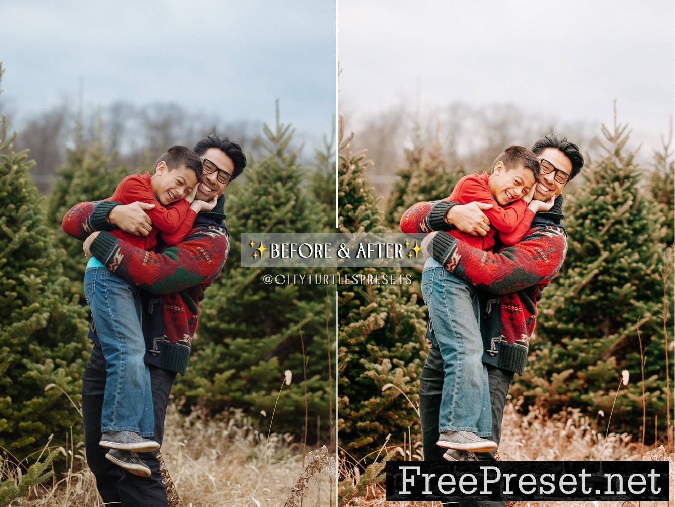 Natural Winter Magic LR Presets 10983799