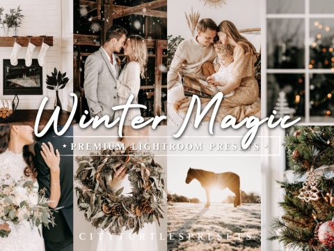 Natural Winter Magic LR Presets 10983799