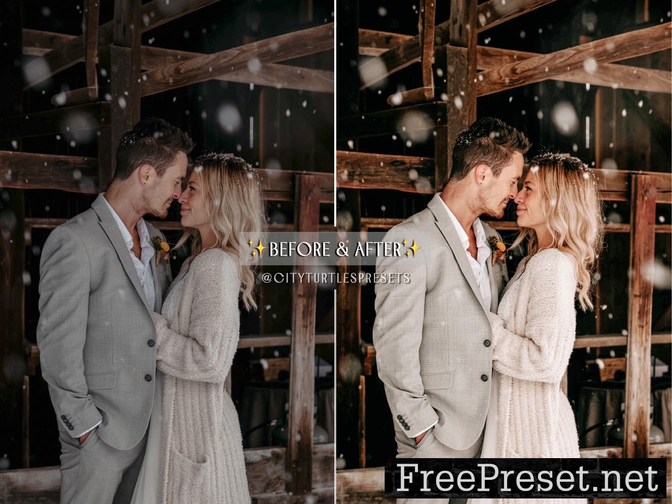 Natural Winter Magic LR Presets 10983799