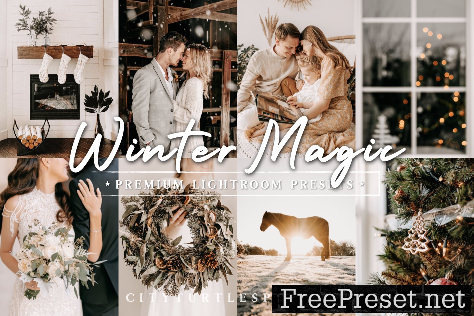 Natural Winter Magic LR Presets 10983799