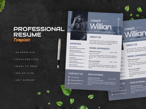 Professional Resume 9Q2ESD2