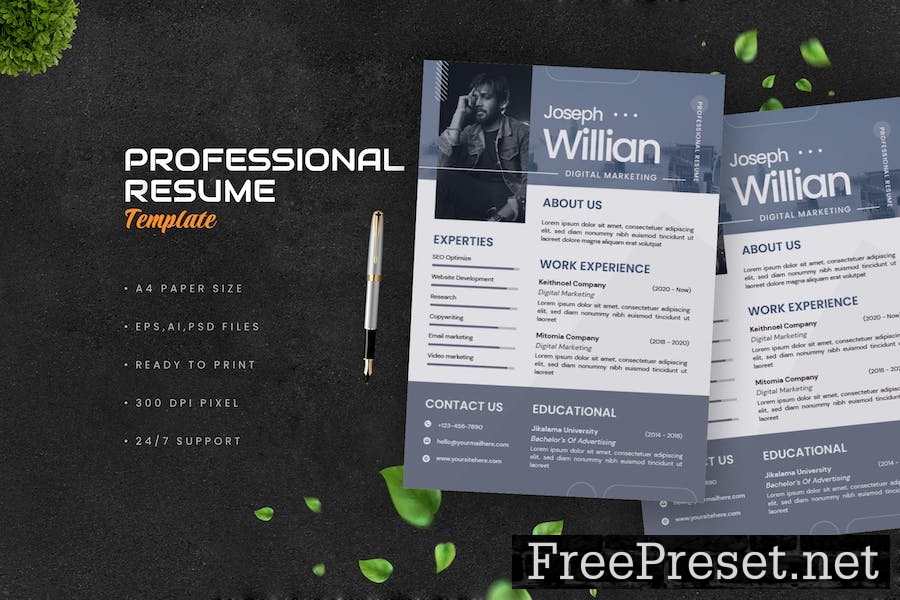 Professional Resume 9Q2ESD2