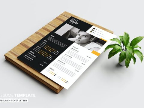 Resume Template 6ZDT4CK