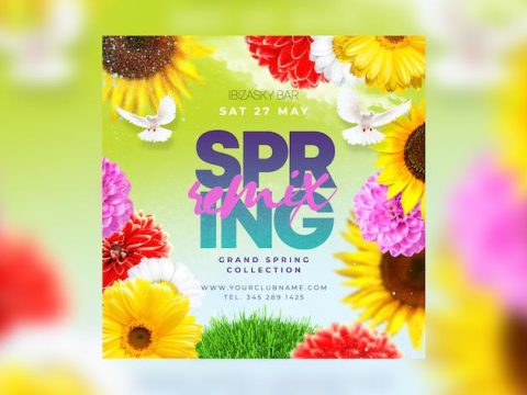 Spring Party Flyer