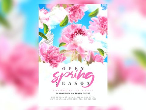 Spring Party Flyer PSFD5V2