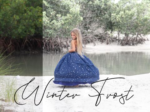 Sweet Soul Studio - Winter Frost Action