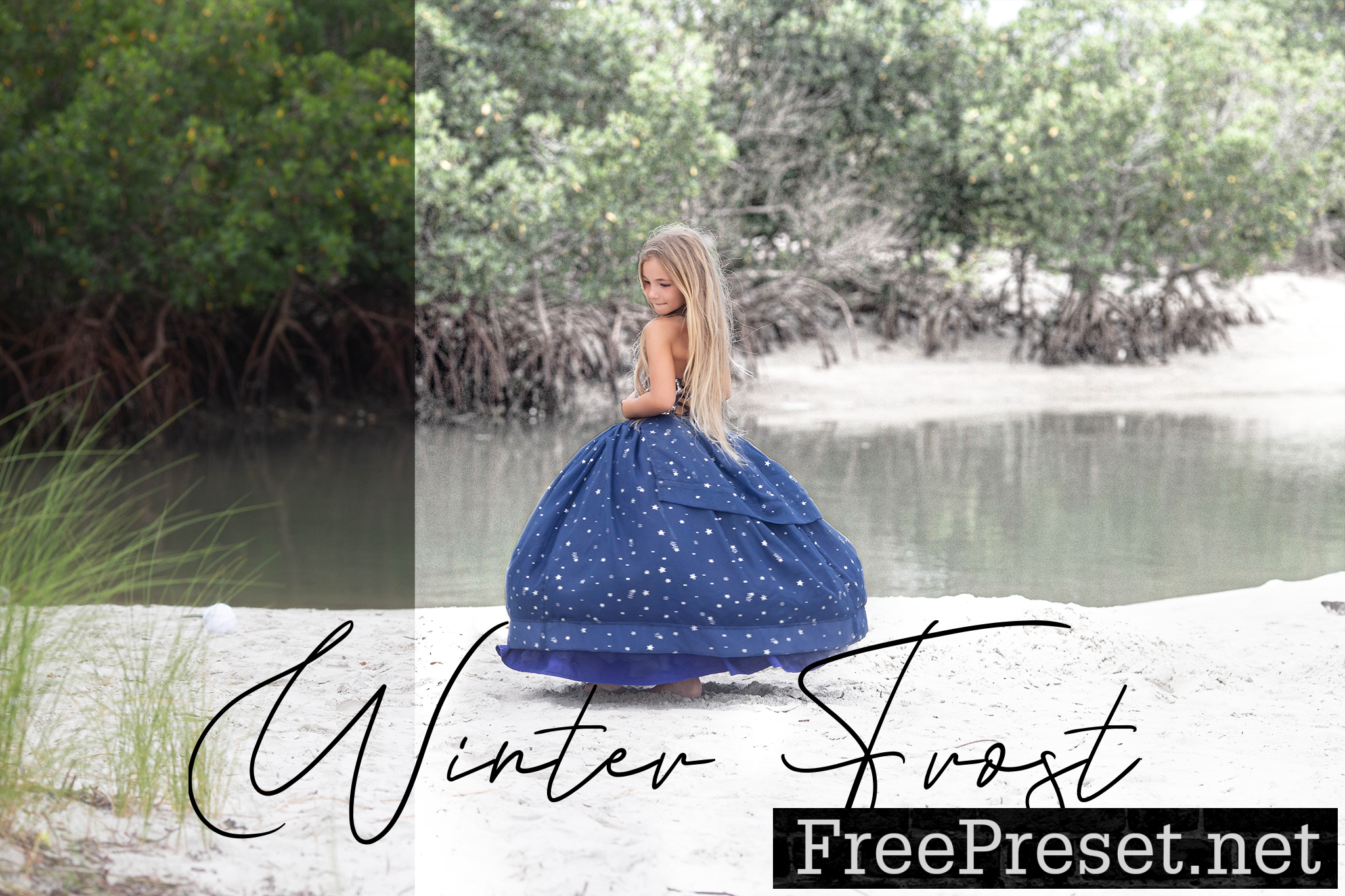 Sweet Soul Studio - Winter Frost Action