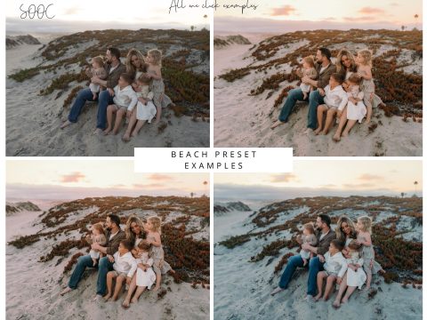 White Pine Photography - Winnebago Presets Bundle