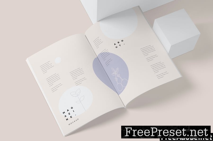 5 Magazine Mockups