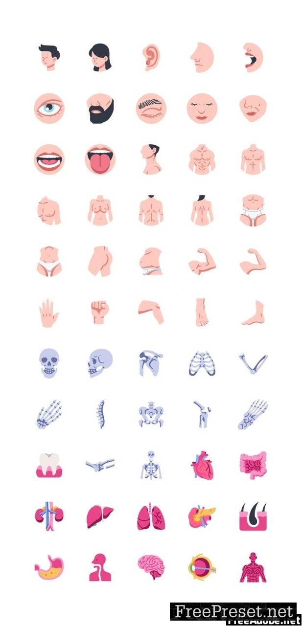 55 Human body icon set SRLMAZZ