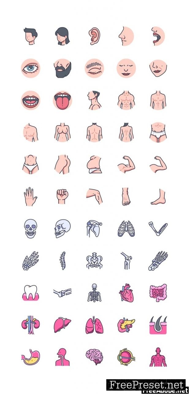 55 Human body icon set SRLMAZZ