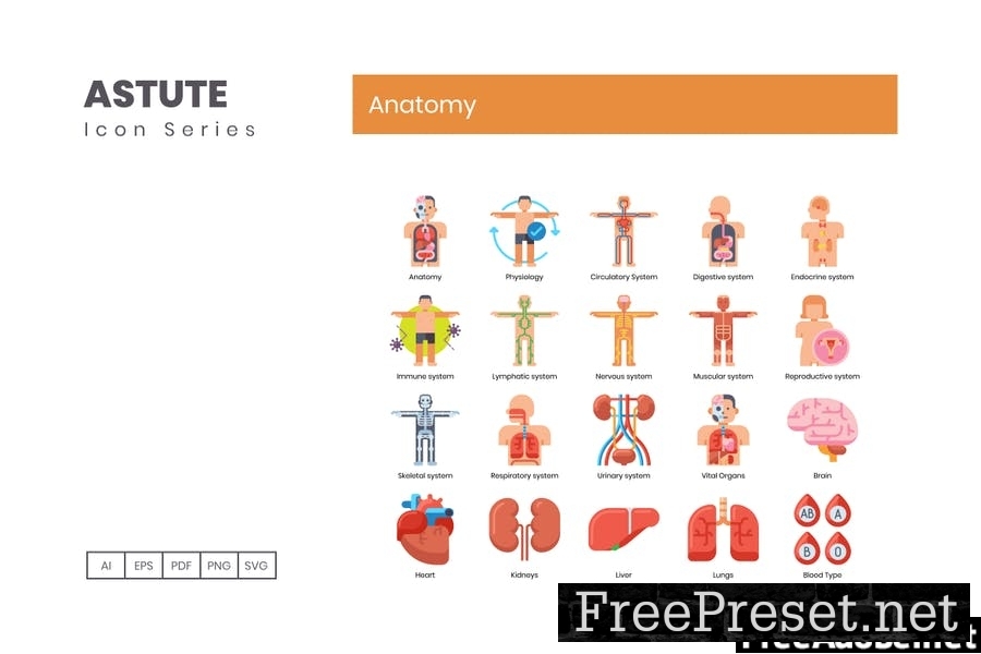 80 Anatomy Flat Icons