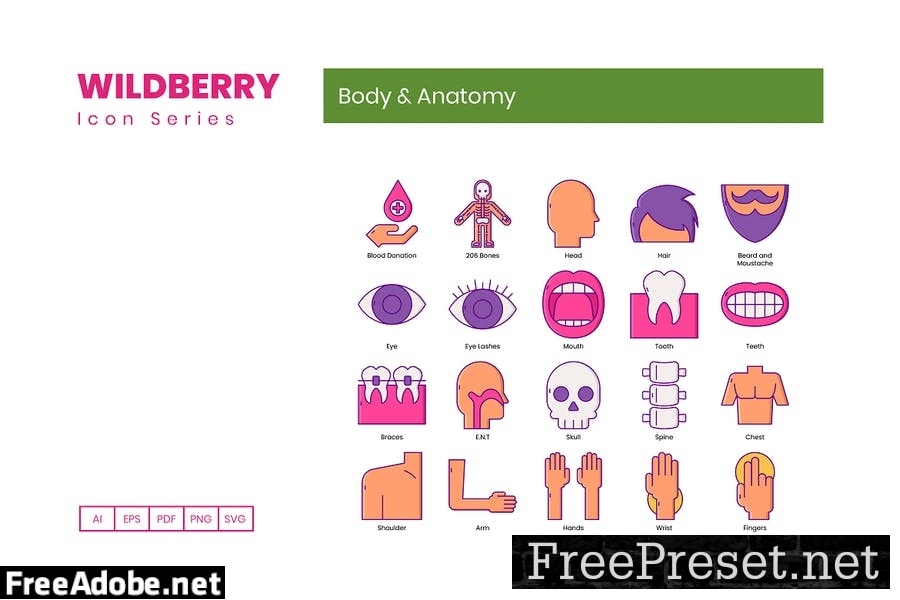 80 Body & Anatomy Line Icons U9T4867