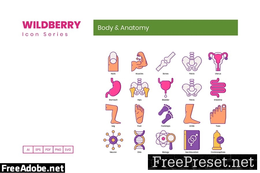 80 Body & Anatomy Line Icons U9T4867