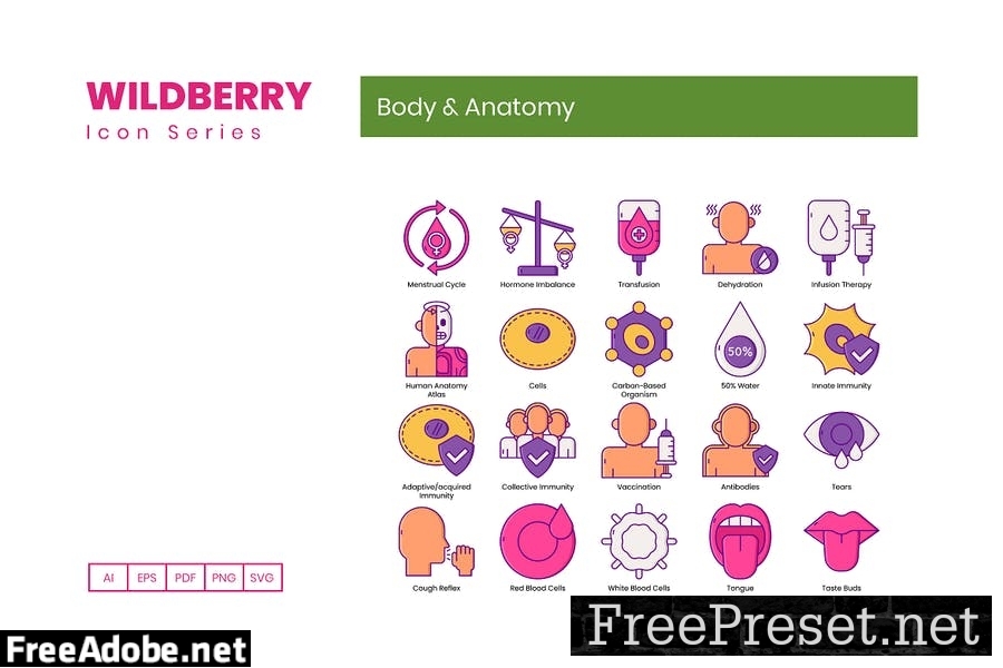 80 Body & Anatomy Line Icons U9T4867