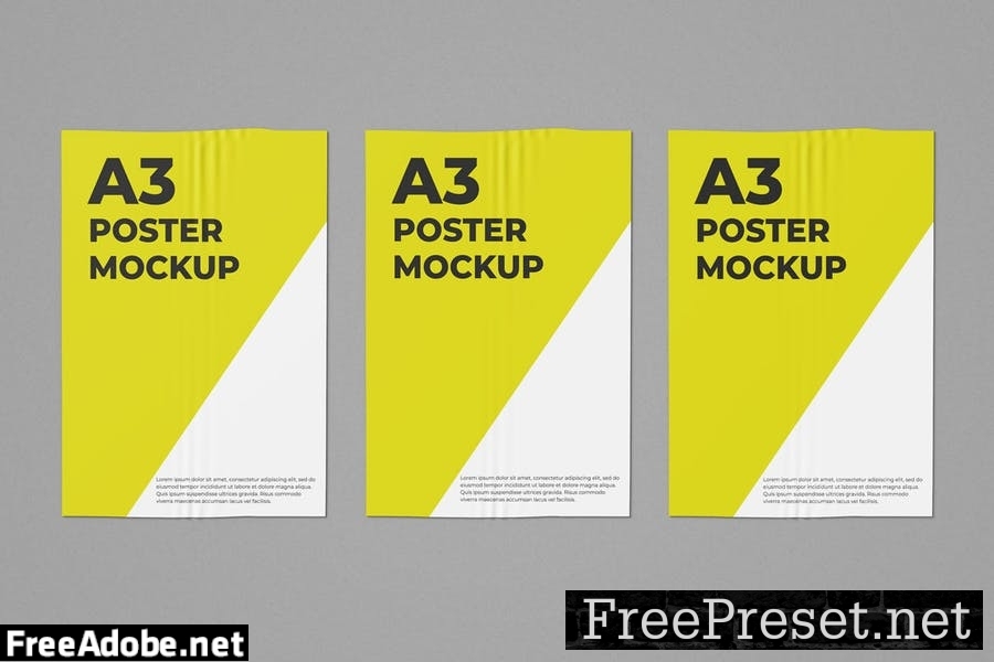 A3 Poster Mockup PRAQMSS