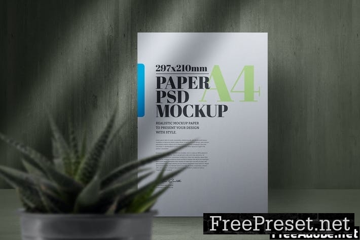 A4 Paper Cactus Plant Shadows Scene Mockup 3GNQSAL