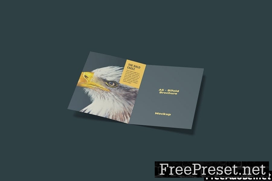 A5 Bifold Brochure Mockup Vol 1