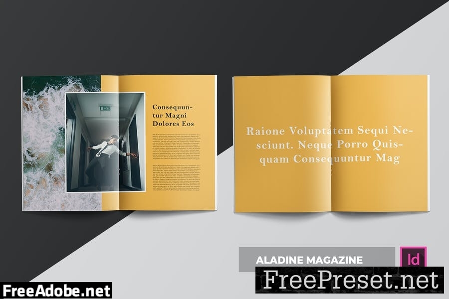 Aladine | Magazine Template PA93TW4