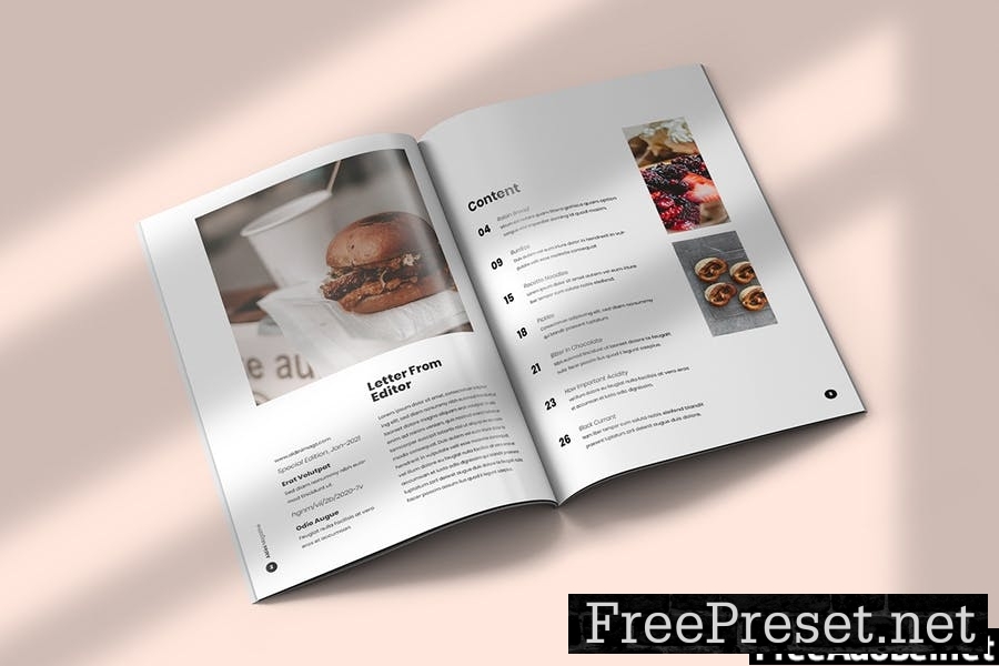 Aldini - Magazine Template Indesign