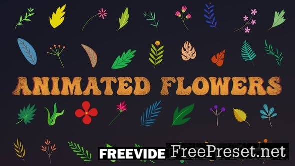 flower animation after effects download