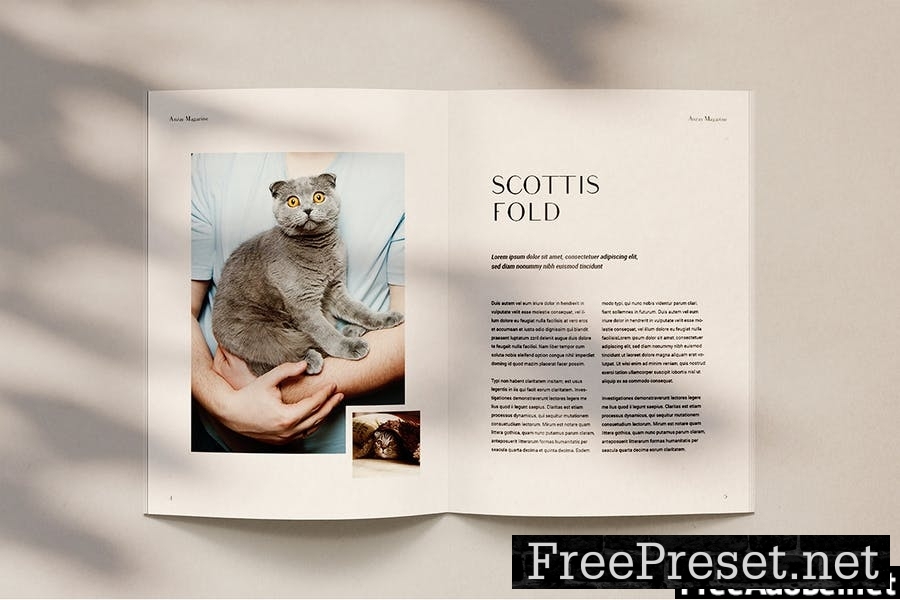 Anzay - Magazine Template