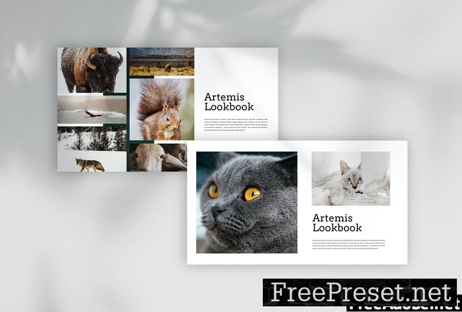 Artemis - Animal Photography Powerpoint Template WZNQSWZ