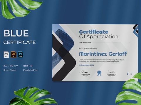 Blue - Certificate 3X8ACL7