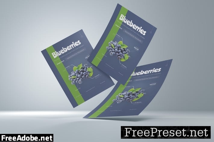 Blueberries Flyer ZLJLFA5