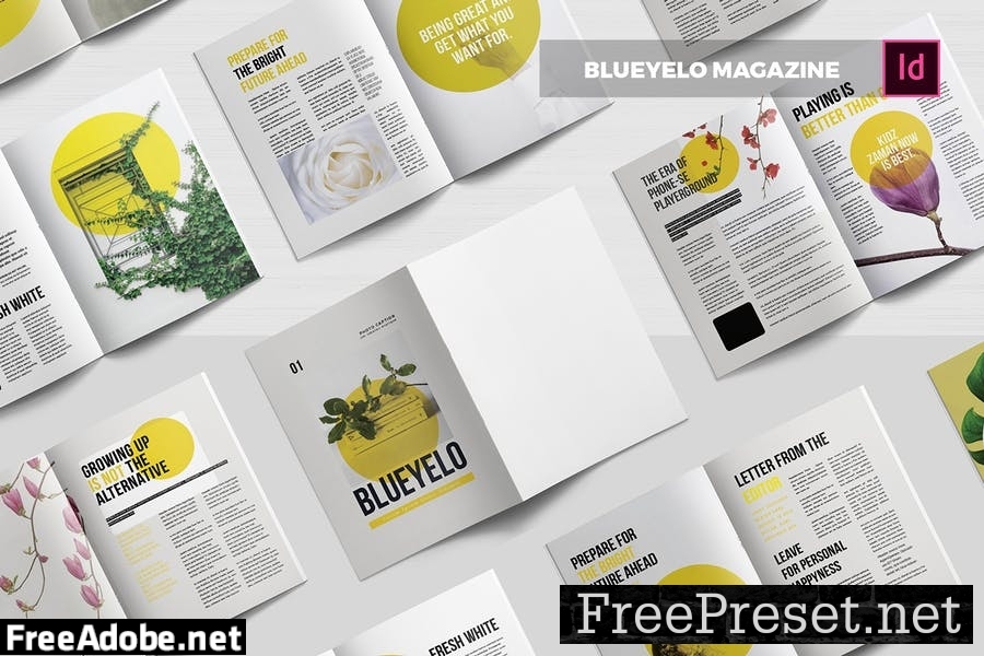 Blueyelo | Magazine