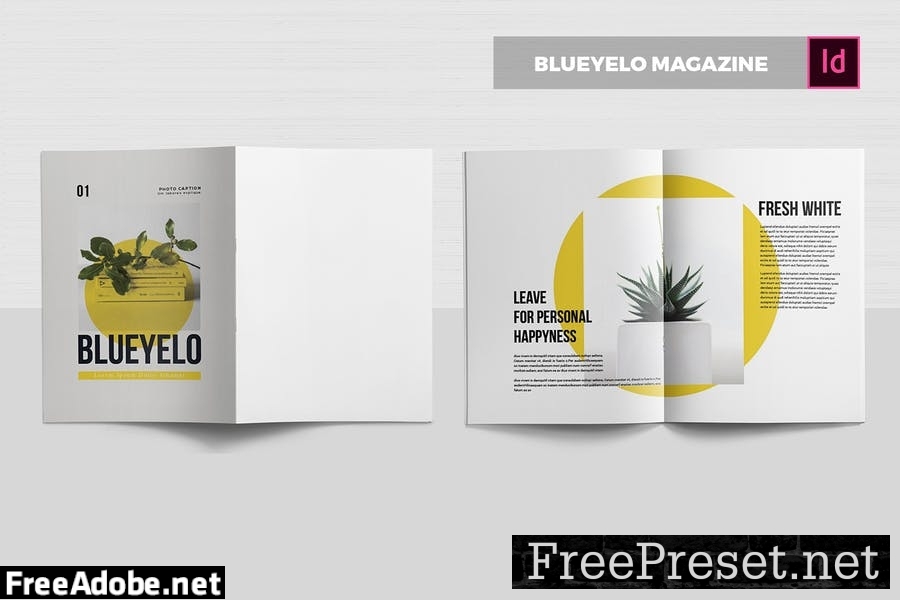 Blueyelo | Magazine