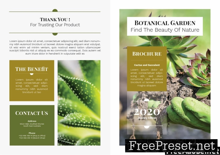 Botanical Shop Brochure 3ZR399Z