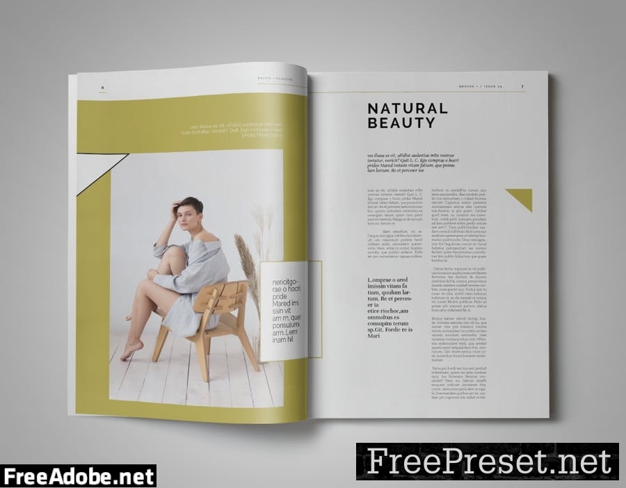 Bravka+ | Magazine Template