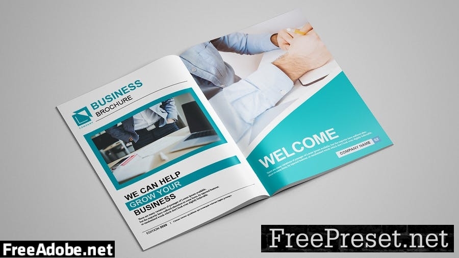 Business Brochure 12 pages