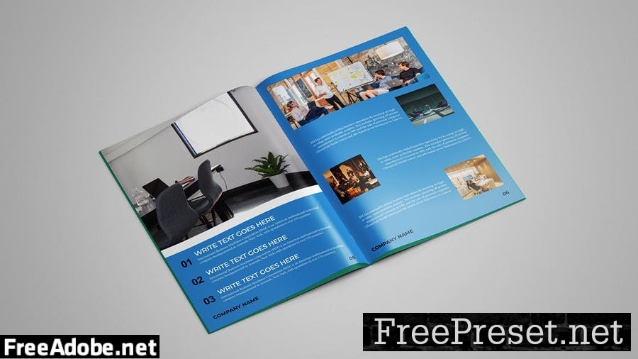 Business Brochure 12 pages GZZQDAN