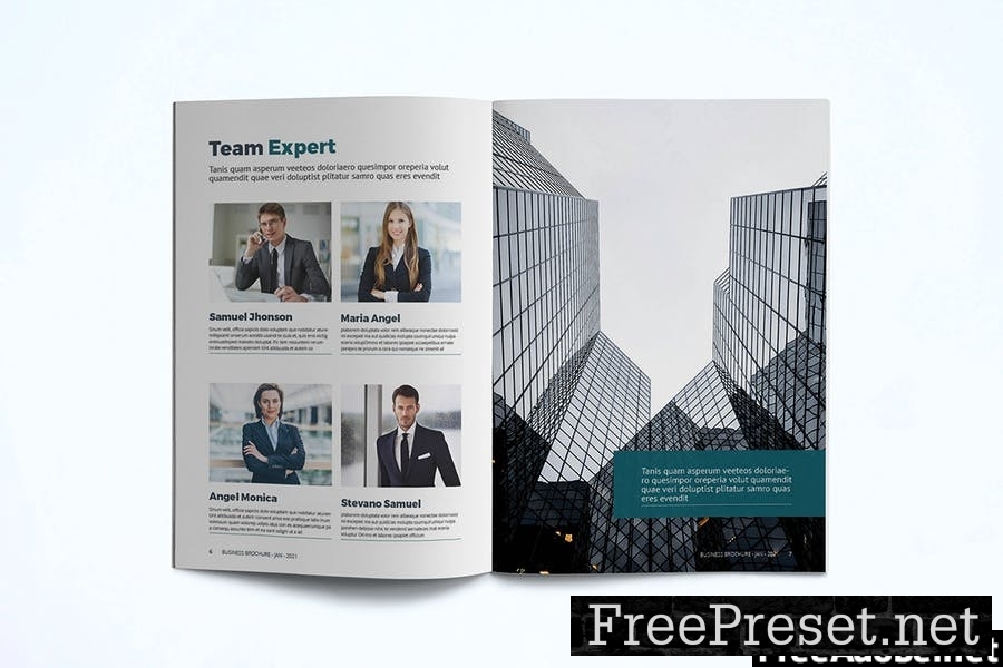 Business Brochure