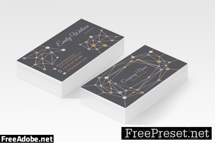 Business Card VDMSNP