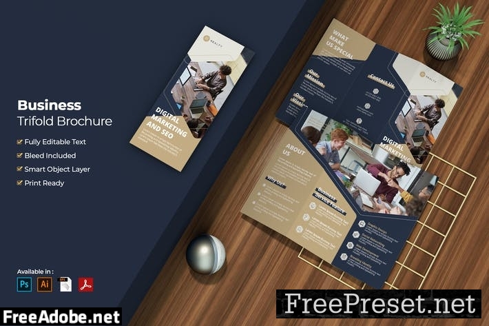 Business Digital Marketing Trifold Brochure 4DWSW7X