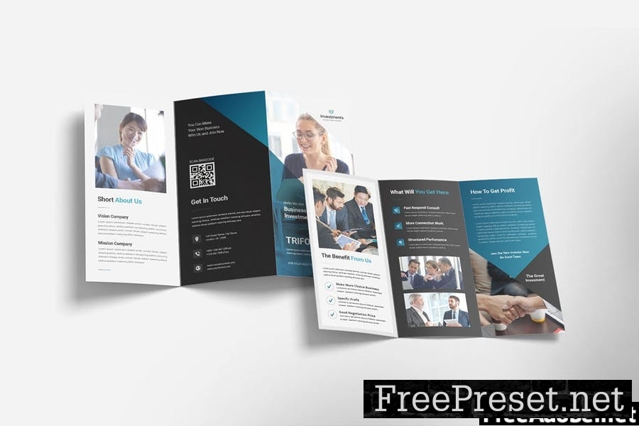 Business Investment – Trifold Brochure V83CJGB