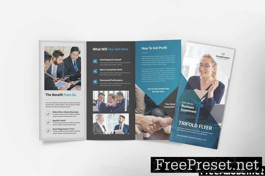 Business Investment – Trifold Brochure V83CJGB